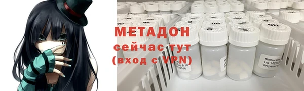 стаф Алзамай