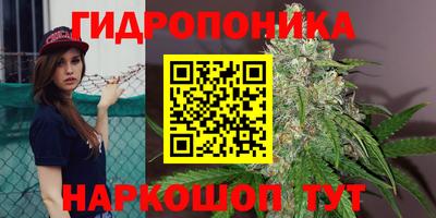 дживик Анжеро-Судженск