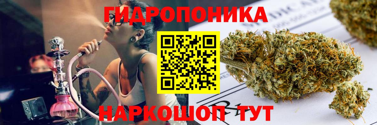 Темрюк  Шишки марихуана марихуана  Вход с VPN  МАРИХУАНА семена  Конопля OG Kush 